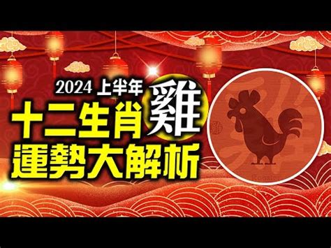 兔年運程 2024|2024生肖兔整年運勢一次看！多注意健康、主動做一。